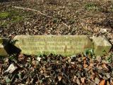 image of grave number 732789